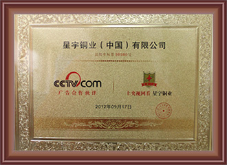 汤氏铜门成为央视广告合作伙伴