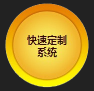 快速定制系统